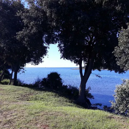 Grand Veles Camp 3* بنجول