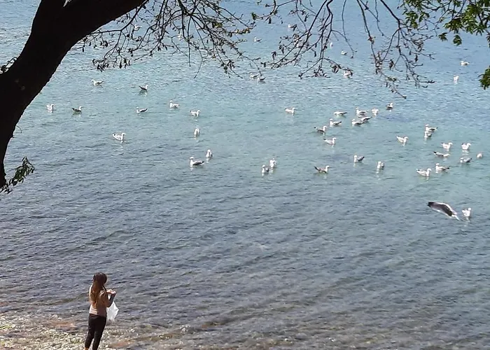 Grand Veles Camp Parco vacanze 3*