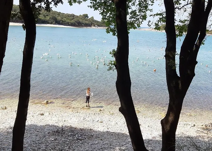 Grand Veles Camp 3* Banjole