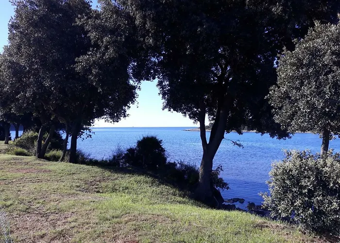 Grand Veles Camp 3* Banjole