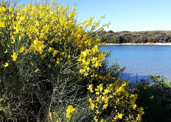 Parco vacanze Grand Veles Camp Banjole